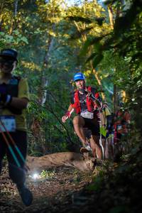 BIB: 
                            <button type="button" onclick="openModal(19239386)" class="btn btn-primary btn-sm float-right btn-popup" data-toggle="modal" data-target=".modal-high-quality">
                        <i class="fas fa-shopping-cart"></i> Add to Cart
                    </button>
                                            <button type="button" onclick="isThisMe(19239386, true)" class="btn btn-success btn-sm float-right btn-popup btn-isme hidden" data-toggle="tooltip" data-placement="bottom" title="นี่คือรูปของคุณใช่ไหม คลิกที่นี่เพื่อเอาเข้าอัลบั้ม">
                        <i class="fas fa-plus"></i> Add to album
                    </button>
                    <button type="button" onclick="isThisMe(19239386, false)" class="btn btn-warning btn-sm float-right btn-popup btn-isnotme hidden">
                        <i class="fas fa-ban"></i> Remove from album
                    </button>